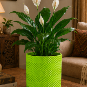 zig zag pattern planter
