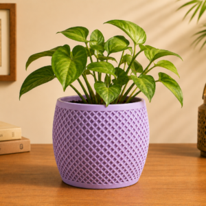 lavendar
