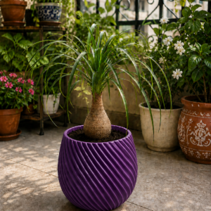 purple